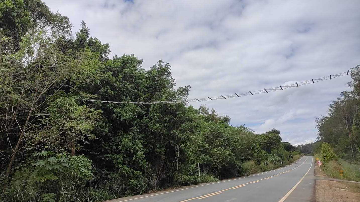 Obras rodoviárias mineiras ganham R$ 15 milhões para ações de meio ambiente Obras rodoviárias mineiras ganham R$ 15 milhões para ações de meio ambiente