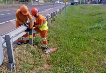 Atenção, motoristas! BR-101/SC terá obras de conservação em vários trechos Atenção, motoristas! BR-101/SC terá obras de conservação em vários trechos