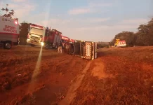 VÍDEO: Cegonha tomba na BR-060 e mata caminhoneiro, em Abadiânia (GO) VÍDEO: Cegonha tomba na BR-060 e mata caminhoneiro, em Abadiânia (GO)