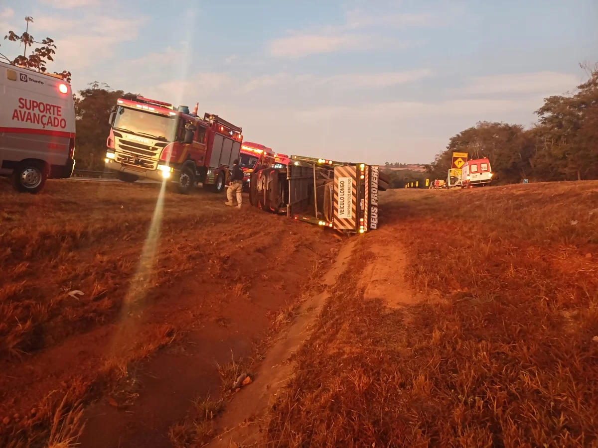 Cegonha tomba na BR-060 e mata caminhoneiro, em Goiás. - Estradas