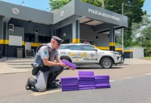 Polícia Rodoviária flagra na SP-300 mais um passageiro de ônibus com drogas Polícia Rodoviária flagra na SP-300 mais um passageiro de ônibus com drogas