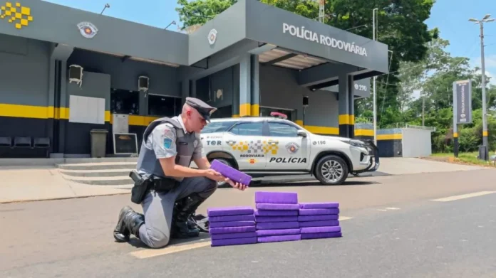Polícia Rodoviária flagra na SP-300 mais um passageiro de ônibus com drogas Polícia Rodoviária flagra na SP-300 mais um passageiro de ônibus com drogas