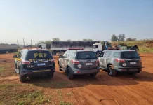 Caminhoneiro é preso com mais de 2 toneladas de maconha, na BR-153/SP, em Ourinhos Caminhoneiro é preso com mais de 2 toneladas de maconha, na BR-153/SP, em Ourinhos