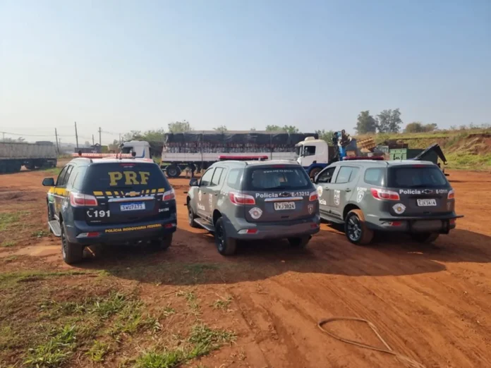 Caminhoneiro é preso com mais de 2 toneladas de maconha, na BR-153/SP, em Ourinhos Caminhoneiro é preso com mais de 2 toneladas de maconha, na BR-153/SP, em Ourinhos