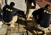VÍDEO: Policiais apreendem 3,2 toneladas de maconha no Noroeste do Paraná VÍDEO: Policiais apreendem 3,2 toneladas de maconha no Noroeste do Paraná