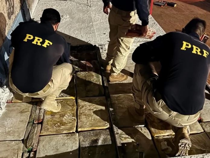 VÍDEO: Policiais apreendem 3,2 toneladas de maconha no Noroeste do Paraná