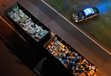 Caminhoneiro é preso com 28 toneladas de maconha em Mato Grosso do Sul Caminhoneiro é preso com 28 toneladas de maconha em Mato Grosso do Sul