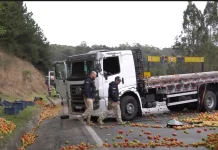 PRF encontra “rebites” em cabine de caminhão tombado na BR-376/PR PRF encontra “rebites” em cabine de caminhão tombado na BR-376/PR