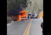 VÍDEO: Mulher morre carbonizada em incêndio de ônibus da Gontijo na BR-381/MG Mulher morre carbonizada em incêndio de ônibus da Gontijo na BR-381/MG