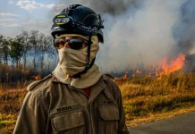 BR-163/MT tem 159 ocorrências de incêndios florestais em 1 mês, desde 2015 BR-163/MT tem 159 ocorrências de incêndios florestais em 1 mês, desde 2015