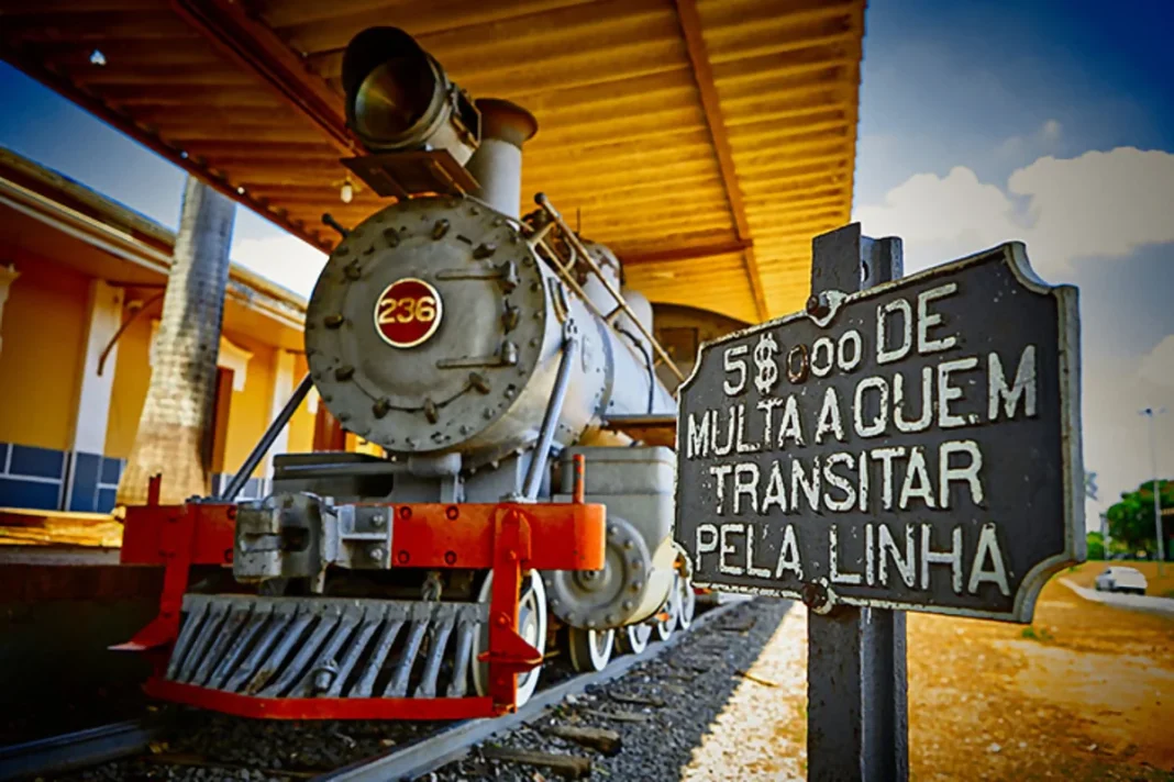 Descubra seis passeios imperdíveis para fazer partindo de Campinas (SP) Descubra seis passeios imperdíveis para fazer partindo de Campinas (SP)
