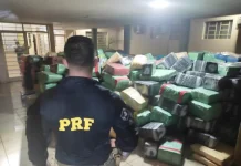 VÍDEO: PRF apreende mais de 14 toneladas de maconha, entre SP e Paraná VÍDEO: PRF apreende mais de 14 toneladas de maconha, entre SP e Paraná