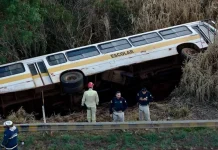 Ônibus escolar com 25 crianças tomba na BR-277, no Paraná Ônibus escolar com 25 crianças tomba na rodovia BR-277, em Candói, no Estado do Paraná, nessa quinta-feira (5).