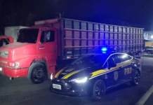 Caminhoneiro embriagado e com “rebites” é preso após provocar acidente na BR-316/MA Caminhoneiro embriagado e com “rebites” é preso após provocar acidente na BR-316/MA