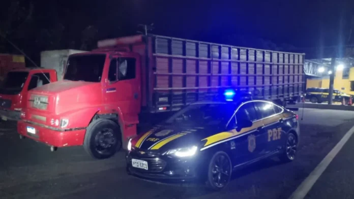 Caminhoneiro embriagado e com “rebites” é preso após provocar acidente na BR-316/MA