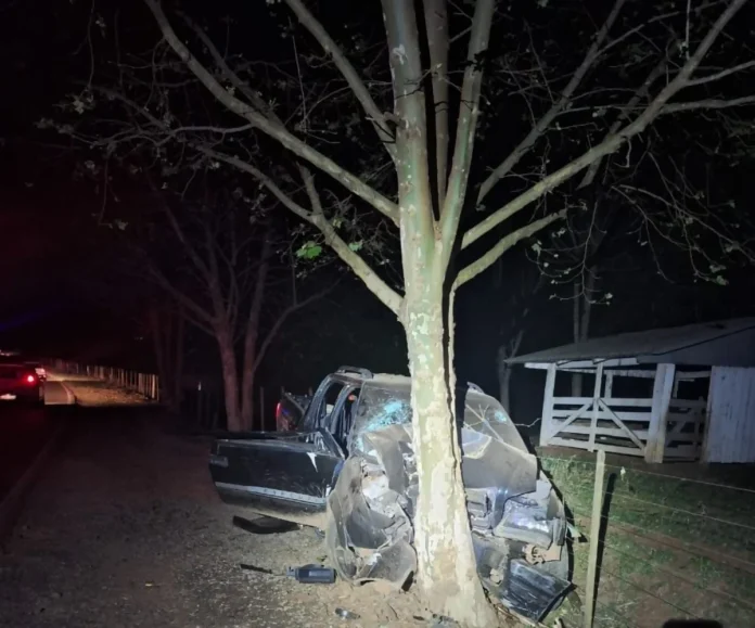 Homem morre em choque contra árvore na SC-283, em Águas de Chapecó