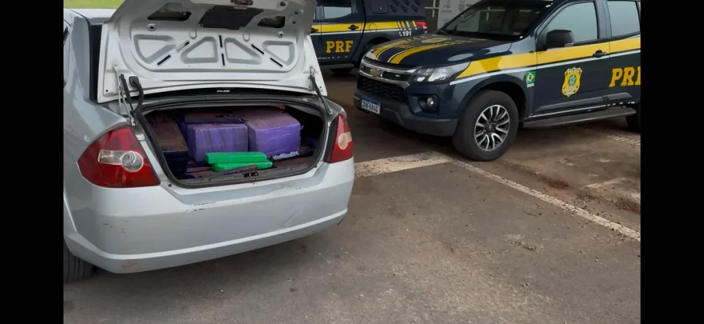 VÍDEO: Policiais apreendem 3,2 toneladas de maconha no Noroeste do Paraná
