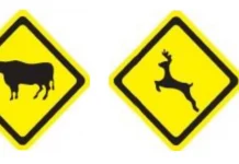 Concessionária realiza campanha de conscientização sobre animais na pista Concessionária realiza campanha de conscientização sobre animais na pista