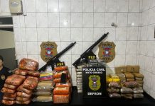 Caminhoneiro é preso na BR-364/MT com 113 kg de drogas e arsenal de armas Caminhoneiro é preso na BR-364/MT com 113 kg de drogas e arsenal de armas