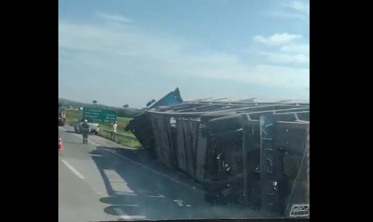 Cegonha tomba na Fernão Dias ()BR-381), em Pouso Alegre (MG)