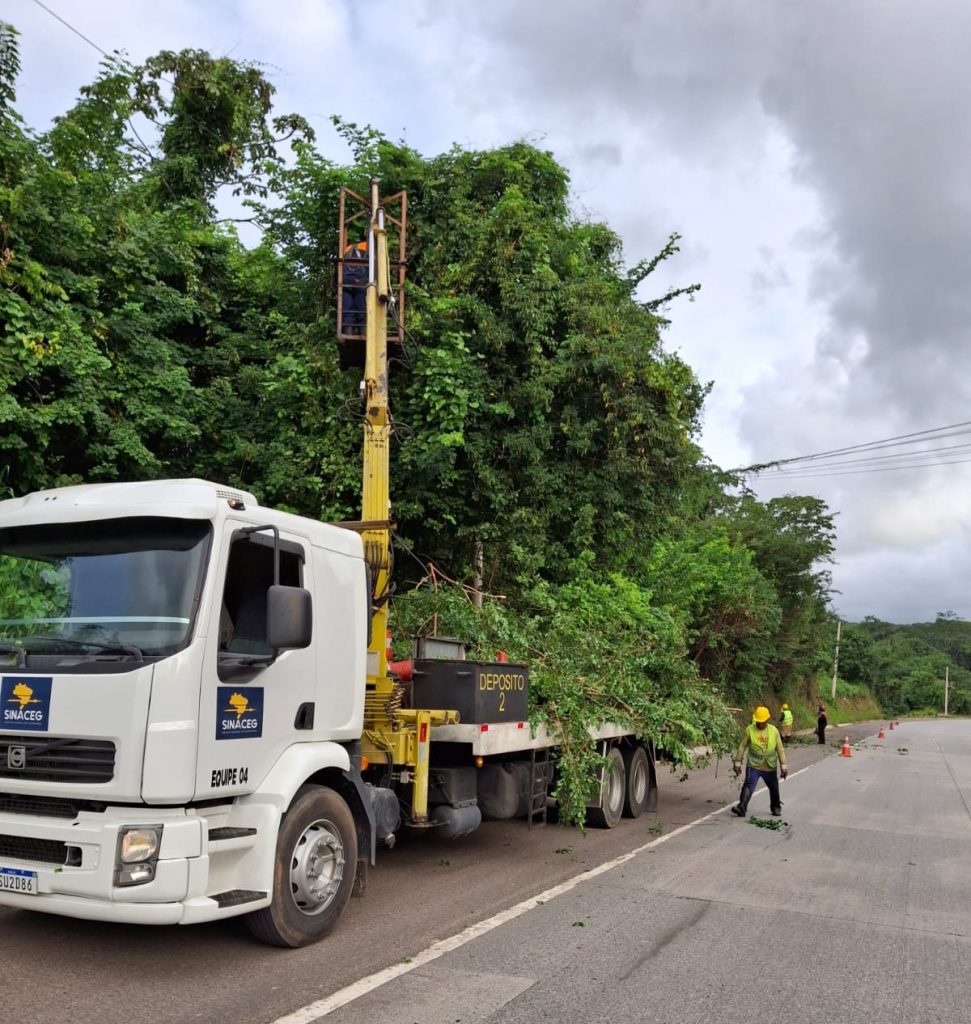 Conheça as medidas de segurança no transporte de veículos novos