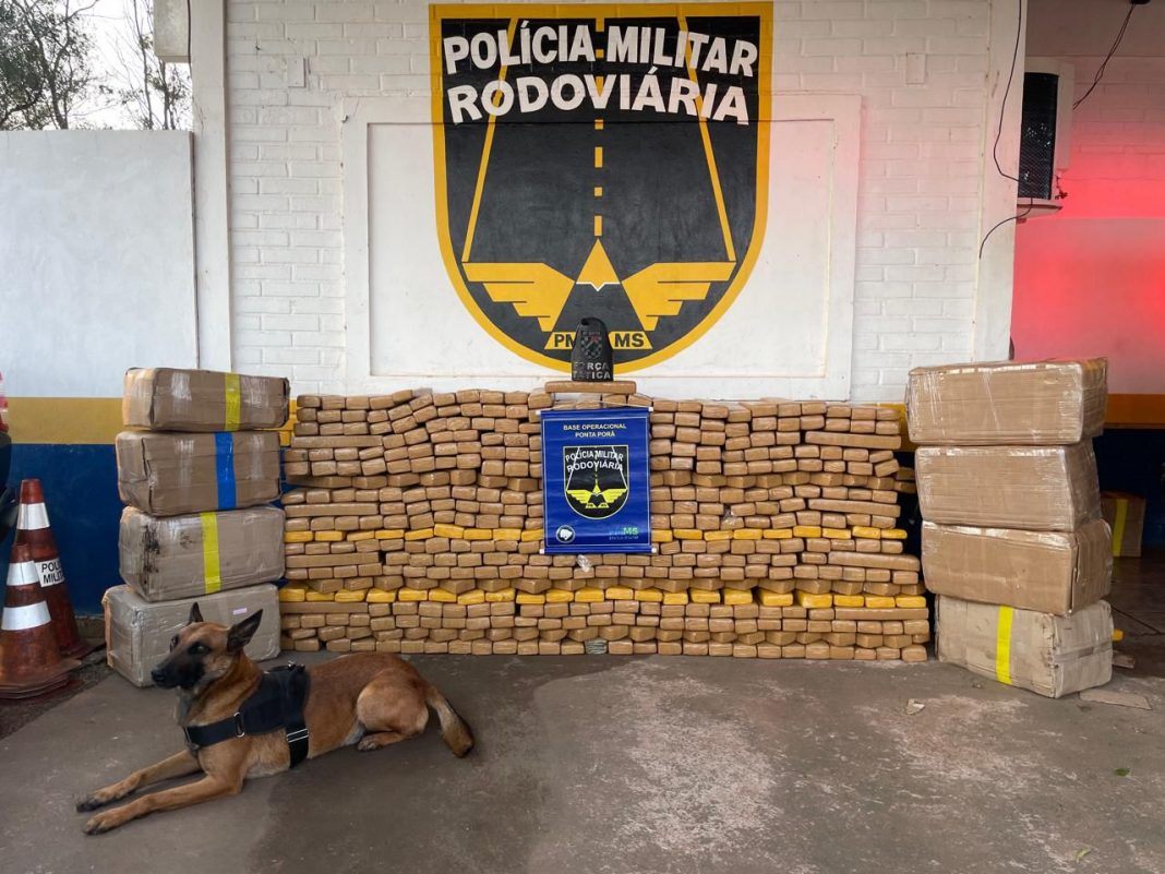 Caminhoneiro paraguaio é preso com 840 kg de maconha, na MS-164, em Ponta Porã