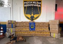 Caminhoneiro paraguaio é preso com 840 kg de maconha, na MS-164, em Ponta Porã Caminhoneiro paraguaio é preso com 840 kg de maconha, na MS-164, em Ponta Porã