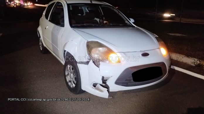 Atropelamentos na SP-127 e SP-294 deixam dois pedestres mortos Atropelamentos na SP-127 e SP-294 deixam dois pedestres mortos