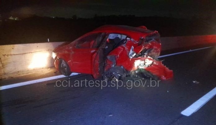 Animal na Carvalho Pinto provoca acidente com 3 mortos, em São José dos Campos (SP) Animal na Carvalho Pinto provoca acidente com 3 mortos, em São José dos Campos (SP)