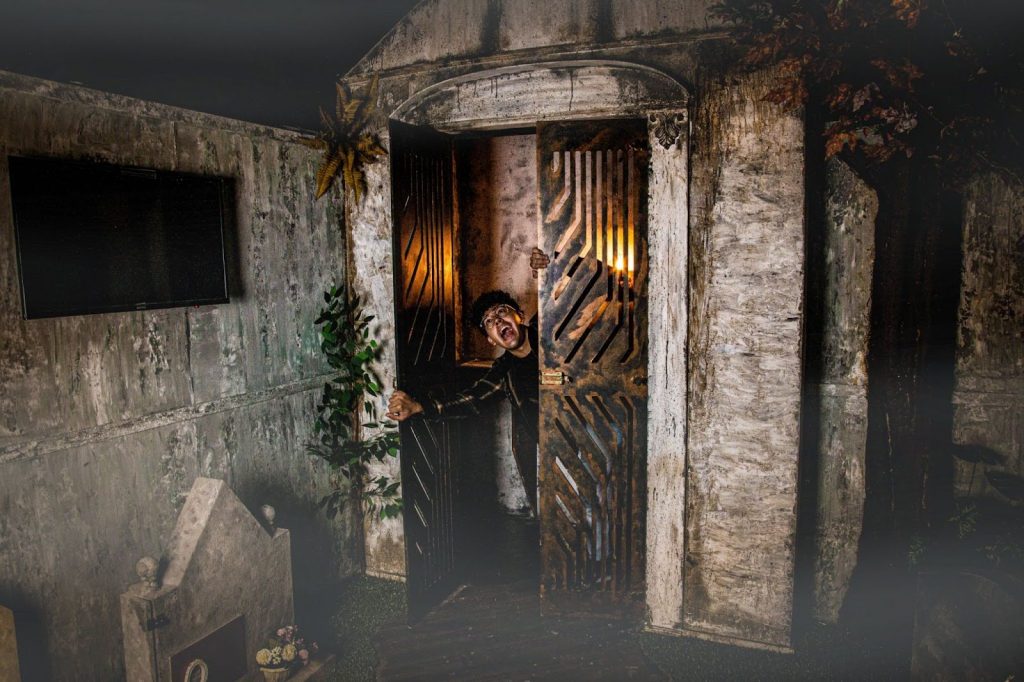 Festa de Halloween ganha atrações especiais em São Paulo