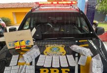 Homem é preso em ônibus na BR-343/PI com 3 mil comprimidos de “rebites” Homem é preso em ônibus na BR-343/PI com 3 mil comprimidos de "rebites"