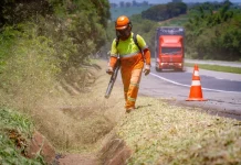 Concessionária paulista realiza obras de conservação no interior do estado Concessionária paulista realiza obras de conservação no interior do estado