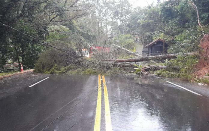 Atenção, motoristas! RJ-116 recebe serviços de limpeza e desobstrução de pista Atenção, motoristas! RJ-116 recebe serviços de limpeza e desobstrução de pista