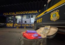 Motorista de aplicativo é preso com 40kg de maconha e skunk, na BR-364, em Rondonópolis/MT Motorista de aplicativo é preso com 40kg de maconha e skunk, na BR-364, em Rondonópolis/MT