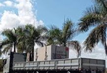 Caminhão e carga da tragédia na BR-116 pertencem à HMA Transportes Caminhão e carga da tragédia na BR-116 pertencem à HMA Transportes