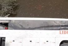 Ônibus cai de ponte na BR-153/TO e deixa 2 motoristas e 1 passageiro mortos Ônibus cai de ponte na BR-153/TO e deixa 2 motoristas e 1 passageiro mortos
