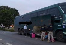 Passageiros com drogas em ônibus são presos na BR-060/GO Passageiros com drogas em ônibus são presos na BR-060/GO