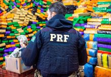 Maconha e anfetamina lideram as apreensões de drogas nas rodovias federais, em 2024 Maconha e anfetamina lideram as apreensões de drogas nas rodovias federais, em 2024