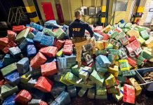 Mais de 280 toneladas de drogas são apreendidas no Paraná, em 2024 Mais de 280 toneladas de drogas são apreendidas no Paraná, em 2024