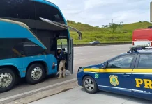 Viagem de ônibus para destinos turísticos requer cuidado redobrado Viagem de ônibus para destinos turísticos requer cuidado redobrado