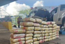 PRF apreende droga em veículo transportado por cegonha na BR-153/GO PRF apreende droga em veículo transportado por cegonha na BR-153/GO