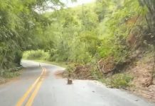 SP-050 tem bloqueio parcial devido à queda de barreiras, em Monteiro Lobato SP-050 tem bloqueio parcial devido à queda de barreiras, em Monteiro Lobato