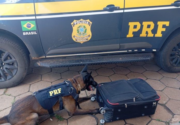 Boliviana é presa com 3 kg de cocaína durante fiscalização de ônibus na BR-262/MS