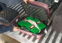 VÍDEO: Foragido da justiça é preso em ônibus na BR-480/SC com 28kg de drogas VÍDEO: Foragido da justiça é preso em ônibus na BR-480/SC com 28kg de drogas