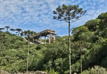 Obra na ponte do rio das Antas, na RS-020, restringe o tráfego para caminhões Obra na ponte do rio das Antas, na RS-020, restringe o tráfego para caminhões