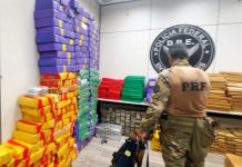 Mais de duas toneladas de maconha são apreendidas na Via Dutra, no Sul Fluminense Mais de duas toneladas de maconha são apreendidas na Via Dutra, no Sul Fluminense