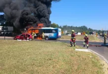 Acidente de micro-ônibus com carro deixa feridos na BR-386/RS, em Nova Santa Rita Acidente de micro-ônibus com carro deixa feridos na BR-386/RS, em Nova Santa Rita