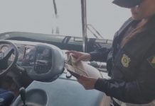 Motorista de ônibus é flagrado na BR-230/PI exercendo a profissão ilegalmente Motorista de ônibus é flagrado na BR-230/PI exercendo a profissão ilegalmente