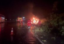 VÍDEO: Volvo choca contra árvore na BR-060/GO, pega fogo e motorista morre carbonizado VÍDEO: Volvo choca contra árvore na BR-060/GO, pega fogo e motorista morre carbonizado