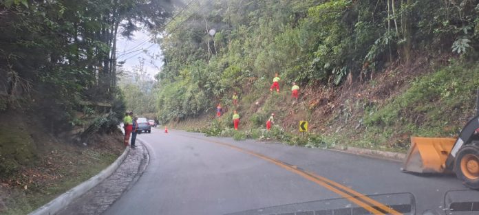 RJ-116 recebe serviços de poda de árvores na região de Nova Friburgo (RJ) RJ-116 recebe serviços de poda de árvores na região de Nova Friburgo (RJ)
